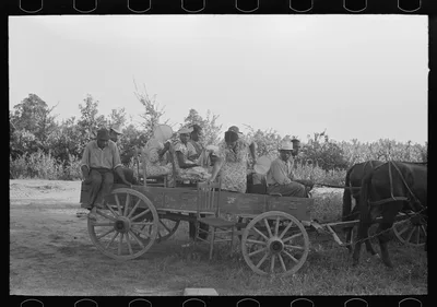 Negro clients arriving in wagon at meeting, Southeast Missouri Farms, 1938