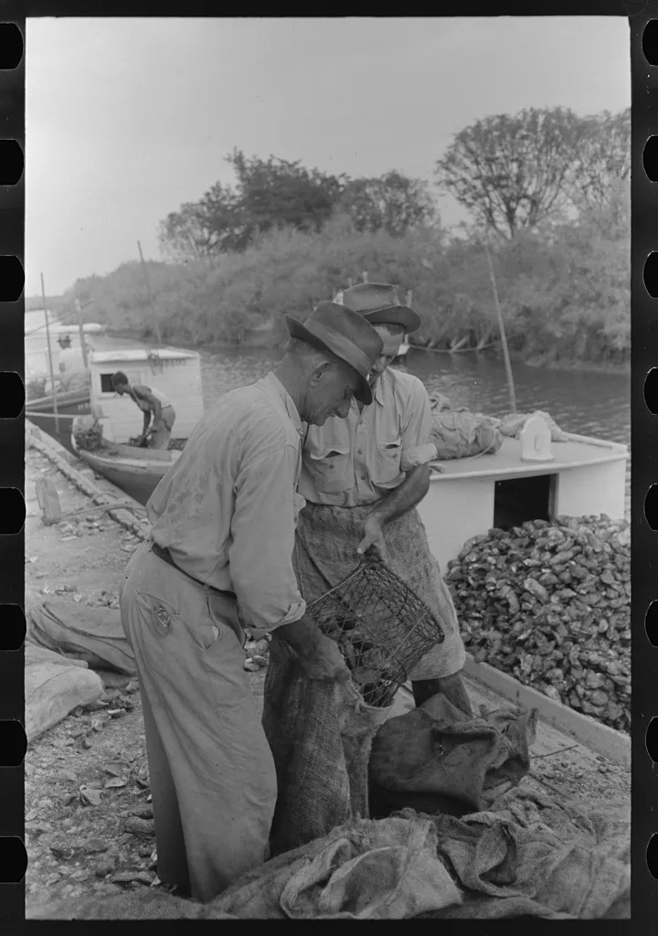 Sacking oysters, Olga, Louisiana, 1938