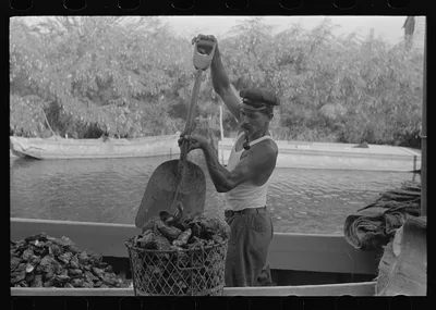 Fishermen unloading oysters, Olga, Louisiana, 1938