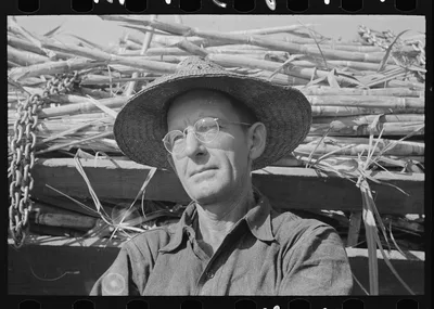 Sugarcane farmer near Delcambre, Louisiana, 1938