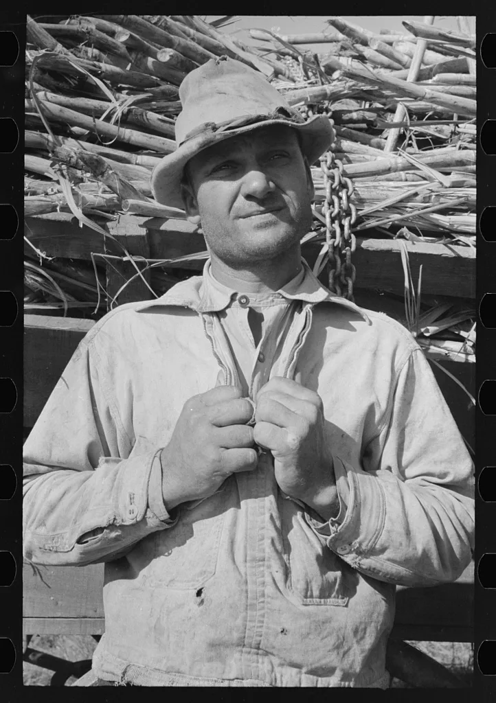 Sugarcane farmer near Delcambre, Louisiana, 1938