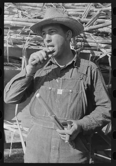Sugarcane worker, Louisiana, 1938