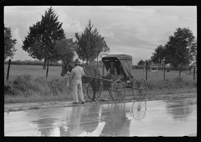 Buggy stopped on highway near Lafayette, Louisiana, 1938