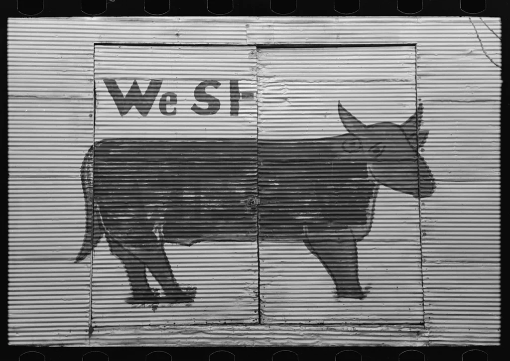 Primitive painting, Delhi, Louisiana, 1939