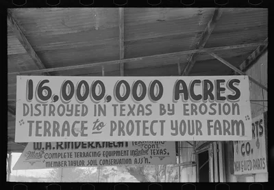 Signs, Taylor, Texas, 1939