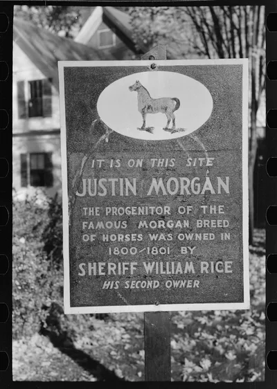 Photograph from Vermont: Sign, Woodstock, Vermont