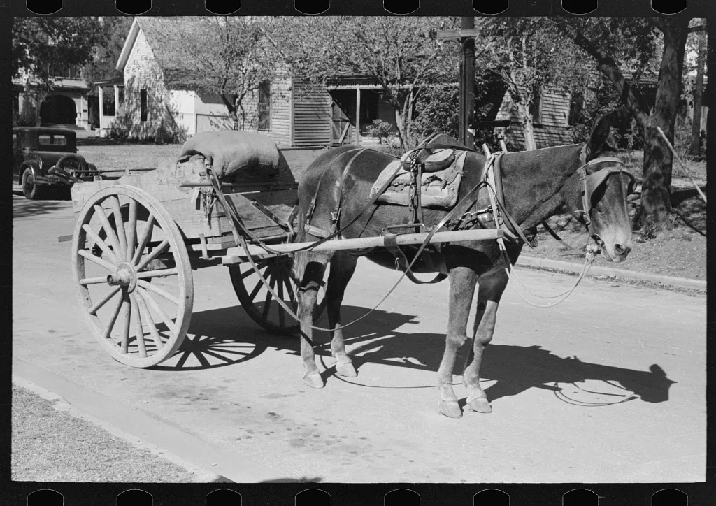 Horse and wagon, Taylor, Texas, 1939