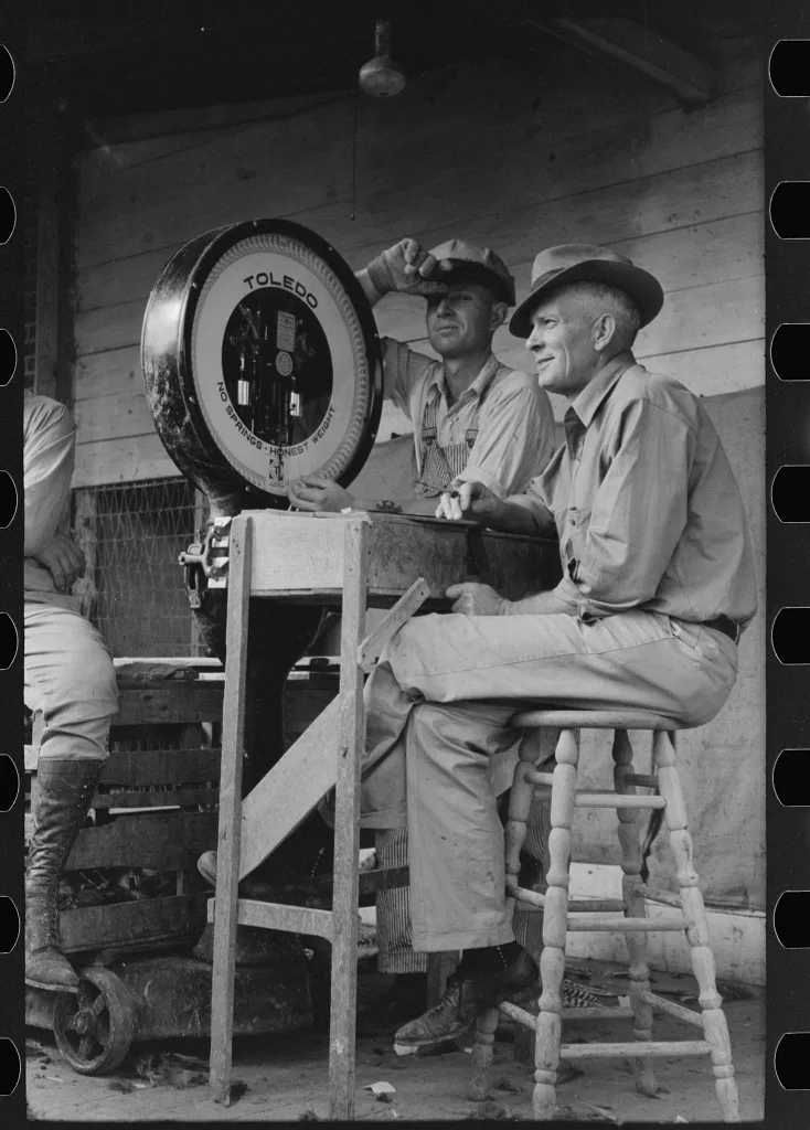 Weigher at poultry cooperative, Brownwood, Texas, 1939
