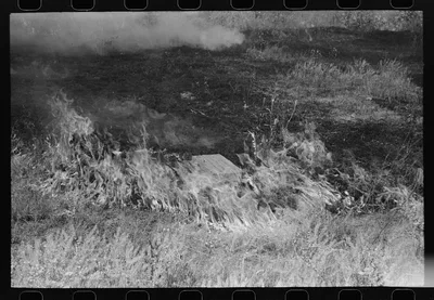 Grass fire, Vale, Oregon, 1941