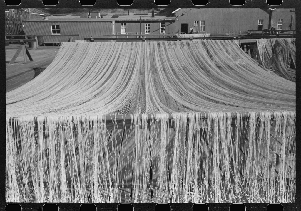 Nets drying in the sun, Astoria, Oregon, 1941