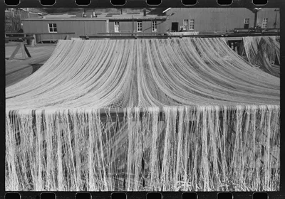 Nets drying in the sun, Astoria, Oregon, 1941