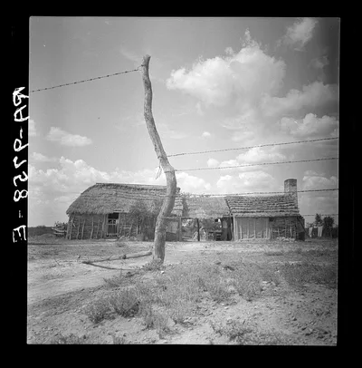 Photograph from 1939: Type of dwelling of the lower Rio Grande Valley,…