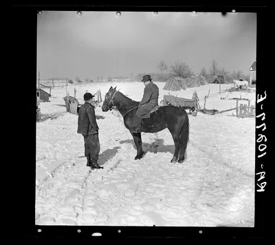 A neighbor comes to talk about selling his horse to Oscar Gaither,…, Illinois, 1937