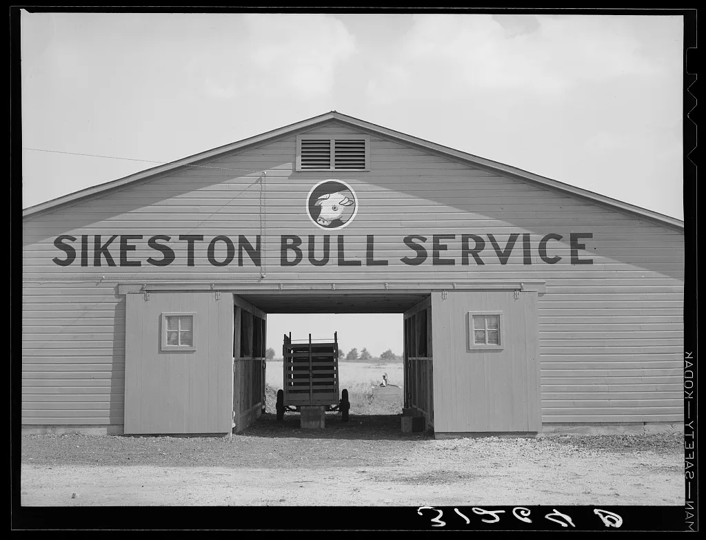 Barn near Sikeston, Missouri, 1938