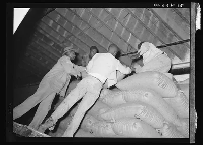 Stacking sacks of rice in warehouse. Abbeville, Louisiana, 1938