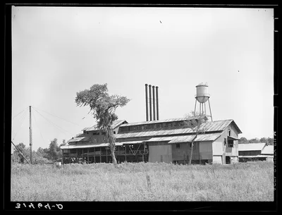 Lumber mill. Sorrento, Louisiana, 1938