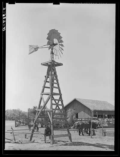 Windmill, watering trough and barn on SMS Ranch near Spur, Texas, 1939