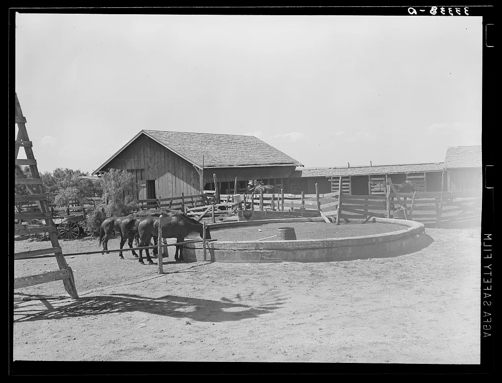 Watering trough, barns and corral on SMS Ranch near Spur, Texas, 1939