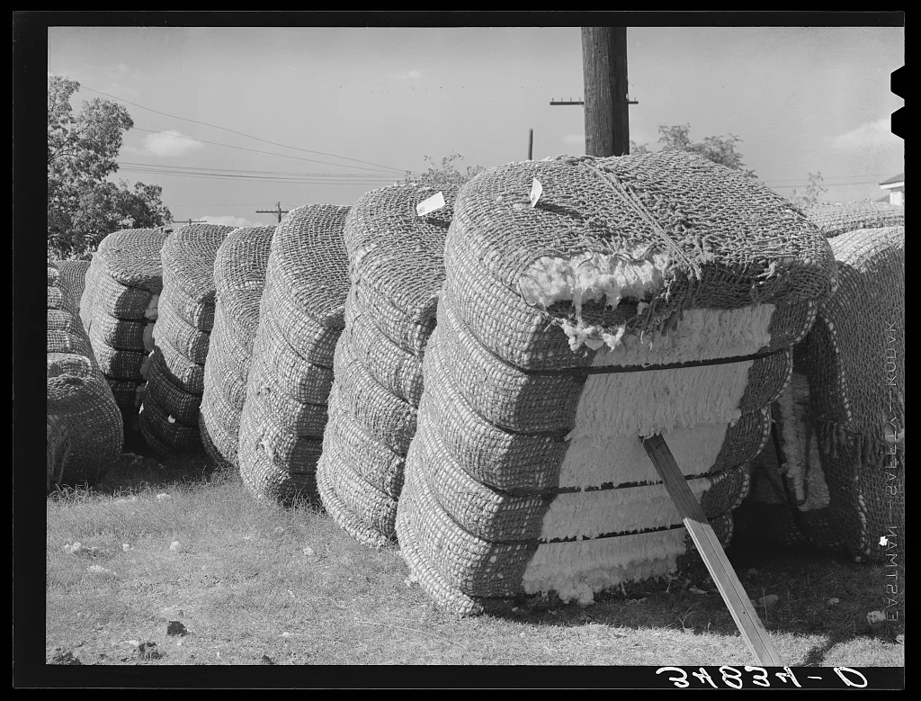 Bales of cotton in gin yard. West, Texas, 1939