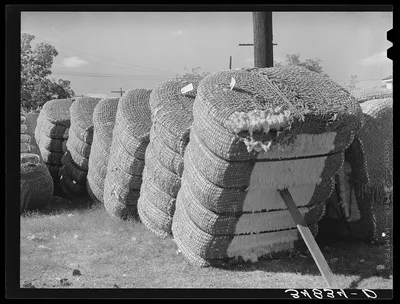 Bales of cotton in gin yard. West, Texas, 1939