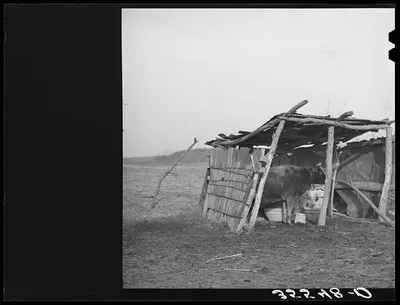 Photograph from Oklahoma: Cowshed on farm of Negro farmer in McIntosh…