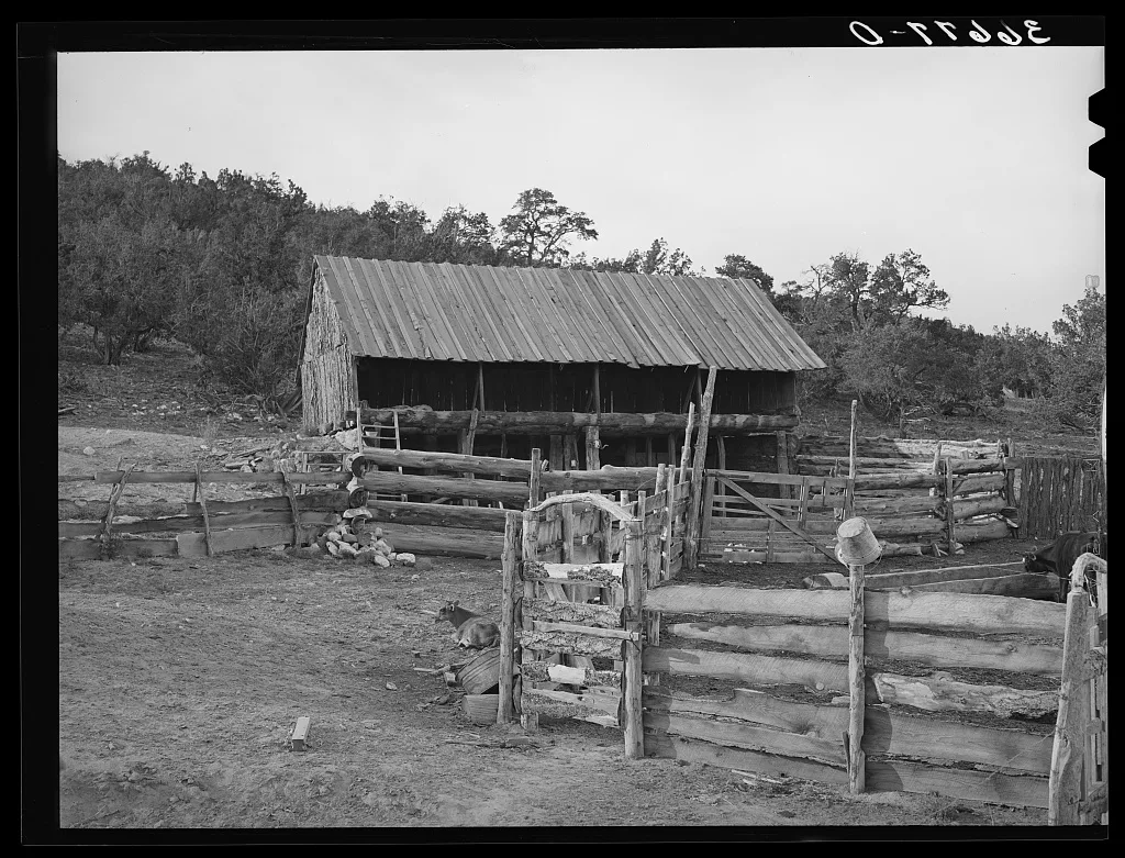 Fence, gate, and barn made of slabs on homesteader's farm. Pie Town,…, New Mexico, 1940