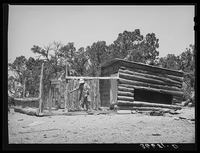 Mrs. George Hutton feeding her chickens. Pie Town, New Mexico.…, 1940