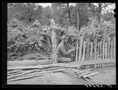 Jack Whinery fencing. Pie Town, New Mexico, 1940