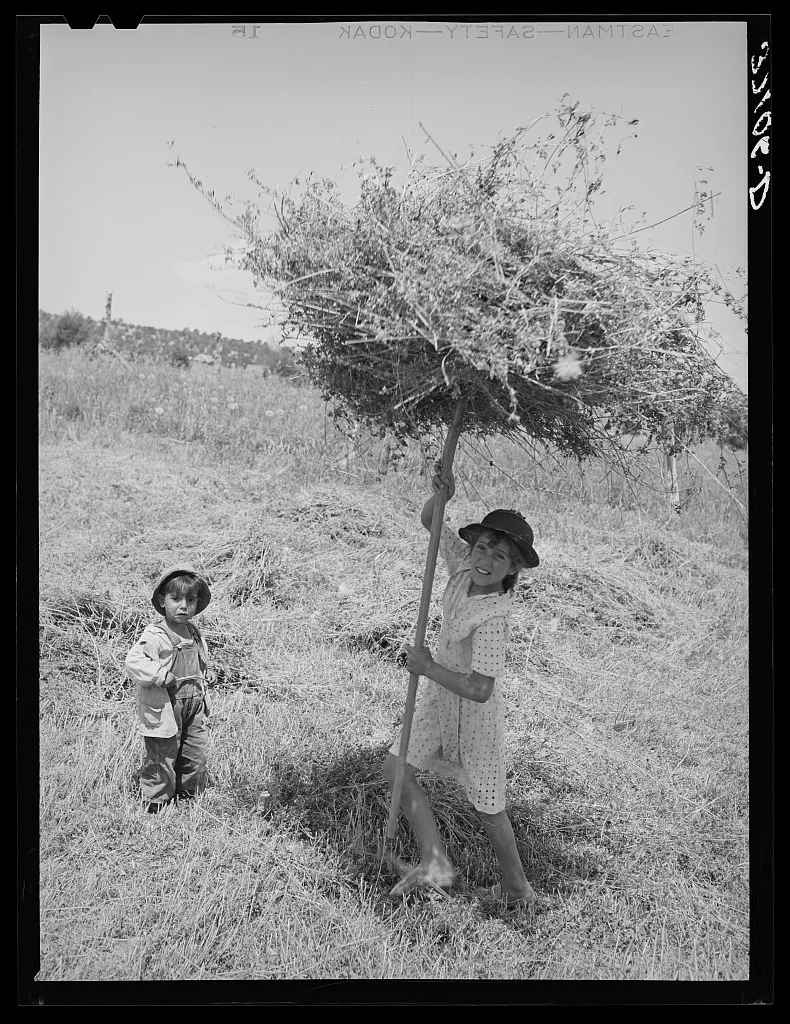 Spanish-American girl pitching hay. Chamisal, New Mexico, 1940