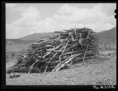Wood supply of Spanish-American farmer. Amalia, New Mexico, 1940
