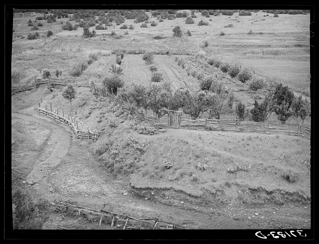 Garden and orchard of Spanish-American farmer. Notice revetment at…, New Mexico, 1940