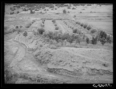 Garden and orchard of Spanish-American farmer. Notice revetment at…, New Mexico, 1940