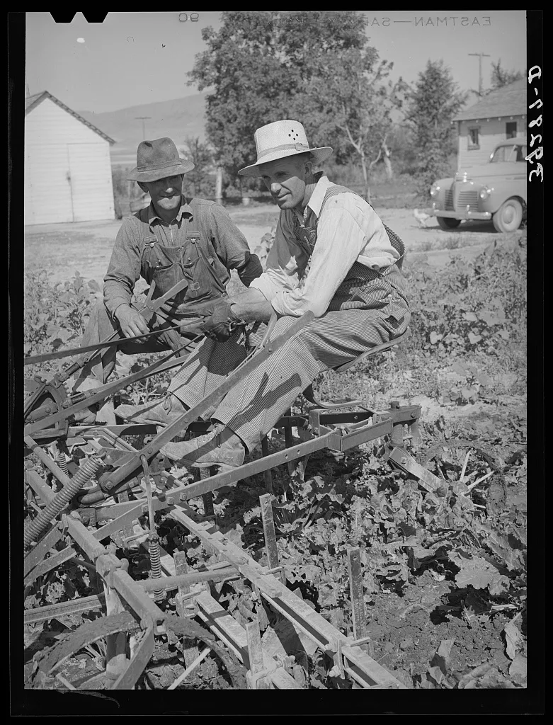 Members of FSA (Farm Security Administration) cooperative sugar beet…, Utah, 1940