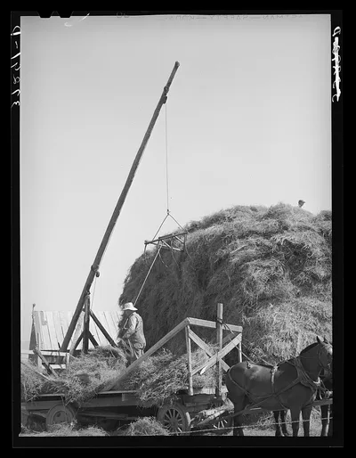 Mormon hay stacker in use. Box Elder County, Utah, 1940