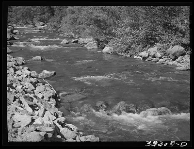 [Untitled photo, possibly related to: Mountain stream, the Logan…, Utah, 1940