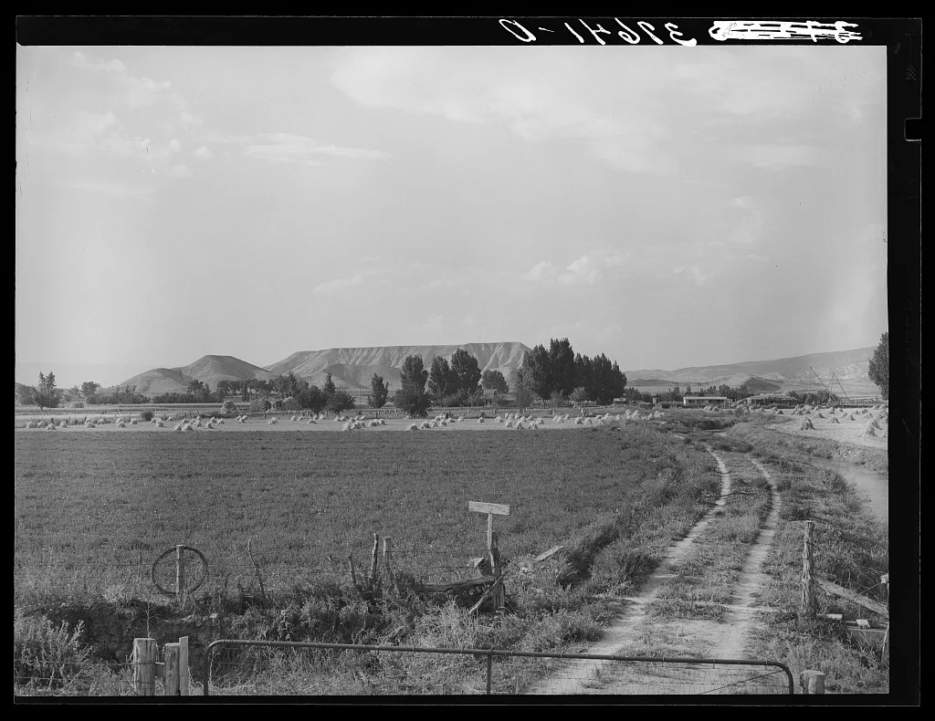 Farm. Montrose County, Colorado, 1940