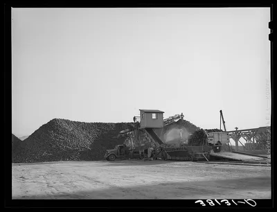 Unloader and pile of sugar beets at sugar beet processing plant.…, Utah, 1940