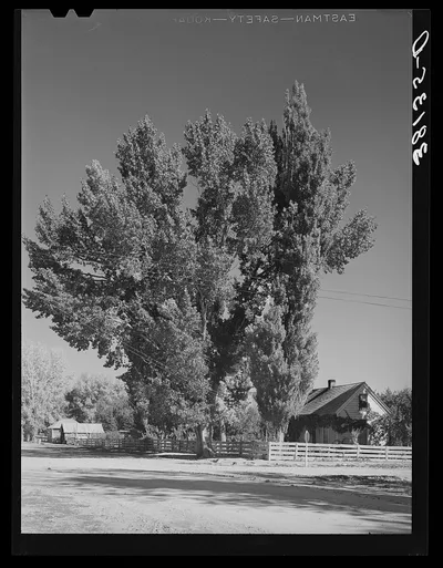 Home of Mormon farmer. Tropic, Utah, 1940