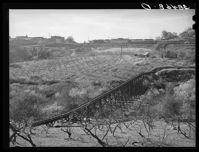 Irrigation pipe. Placer County, California, 1940