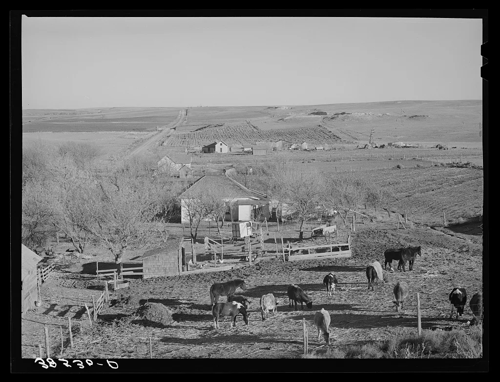 Farmstead and farmland near Almena. Norton County, Kansas, 1941