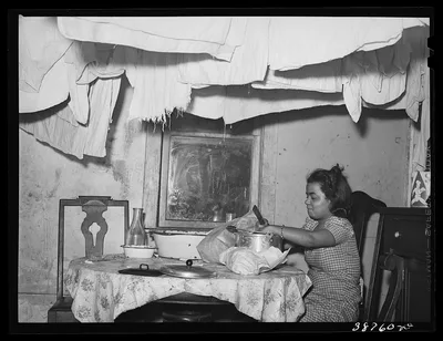 Preparing the evening meal. Notice the laundry hanging near the…, Illinois, 1941