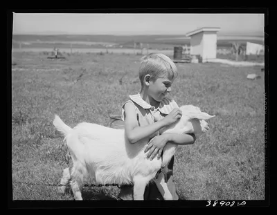 One of Mr. Browning's sons with his pet goat. They are FSA (Farm…, Oregon, 1941