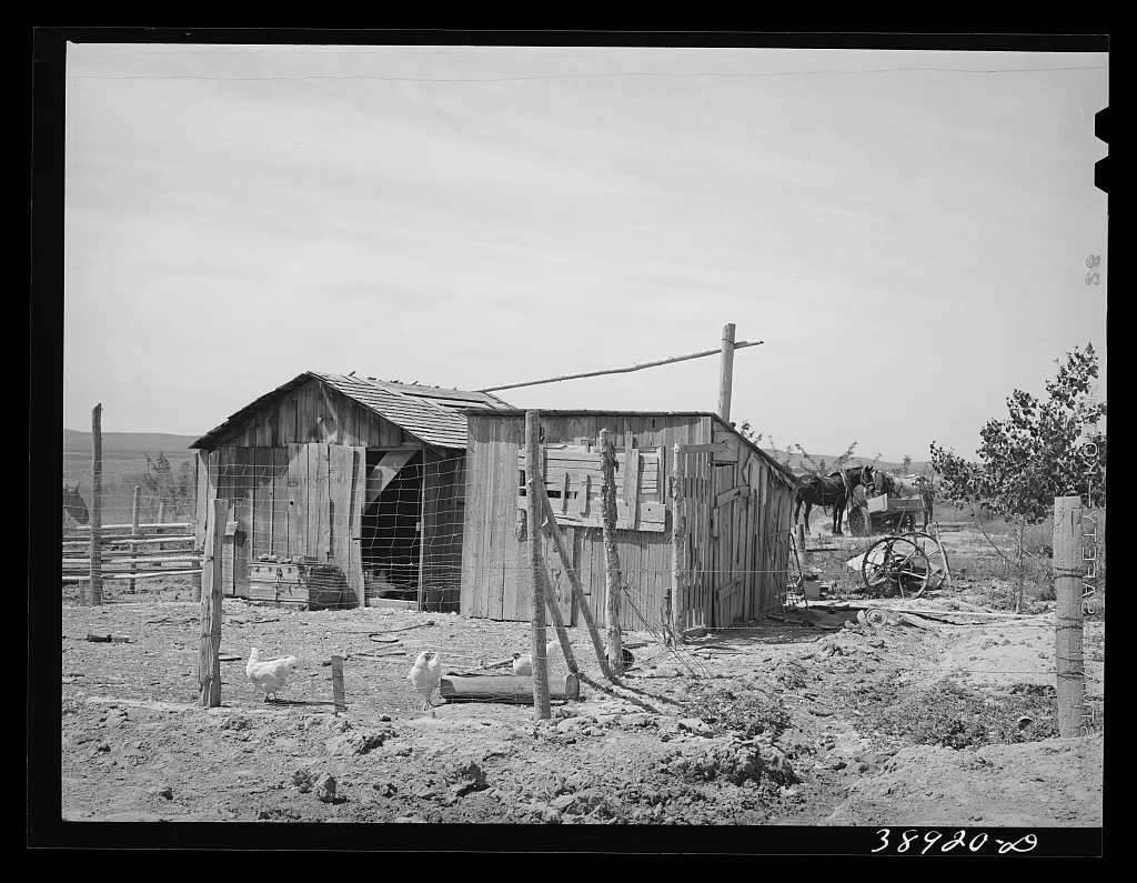 Chicken house and shed on the farm of the Schroeder family, FSA (Farm…, Oregon, 1941