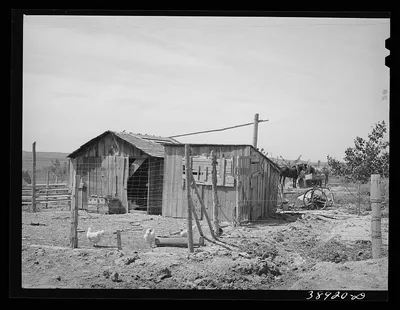 Chicken house and shed on the farm of the Schroeder family, FSA (Farm…, Oregon, 1941