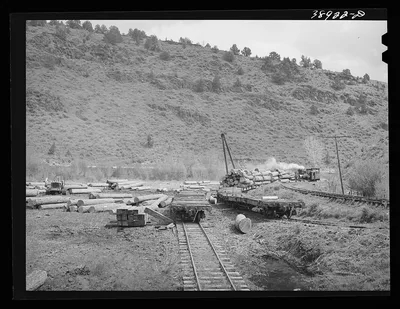 Log loading operation at small logging camp. Baker County, Oregon, 1941