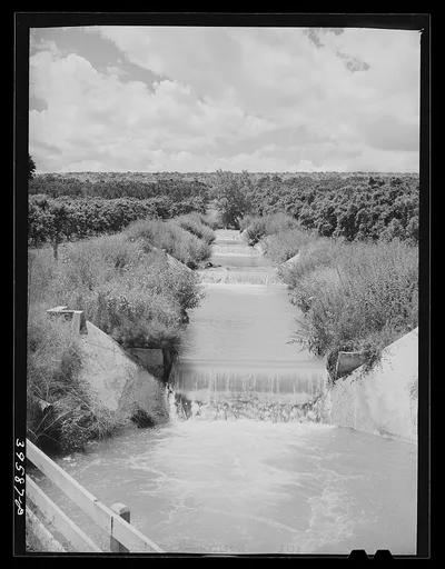 Lateral irrigation ditch in orchard. Canyon County, Idaho, 1941