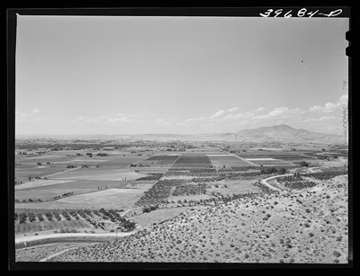 Farming land and cherry orchards. Emmett, Gem County, Idaho, 1941