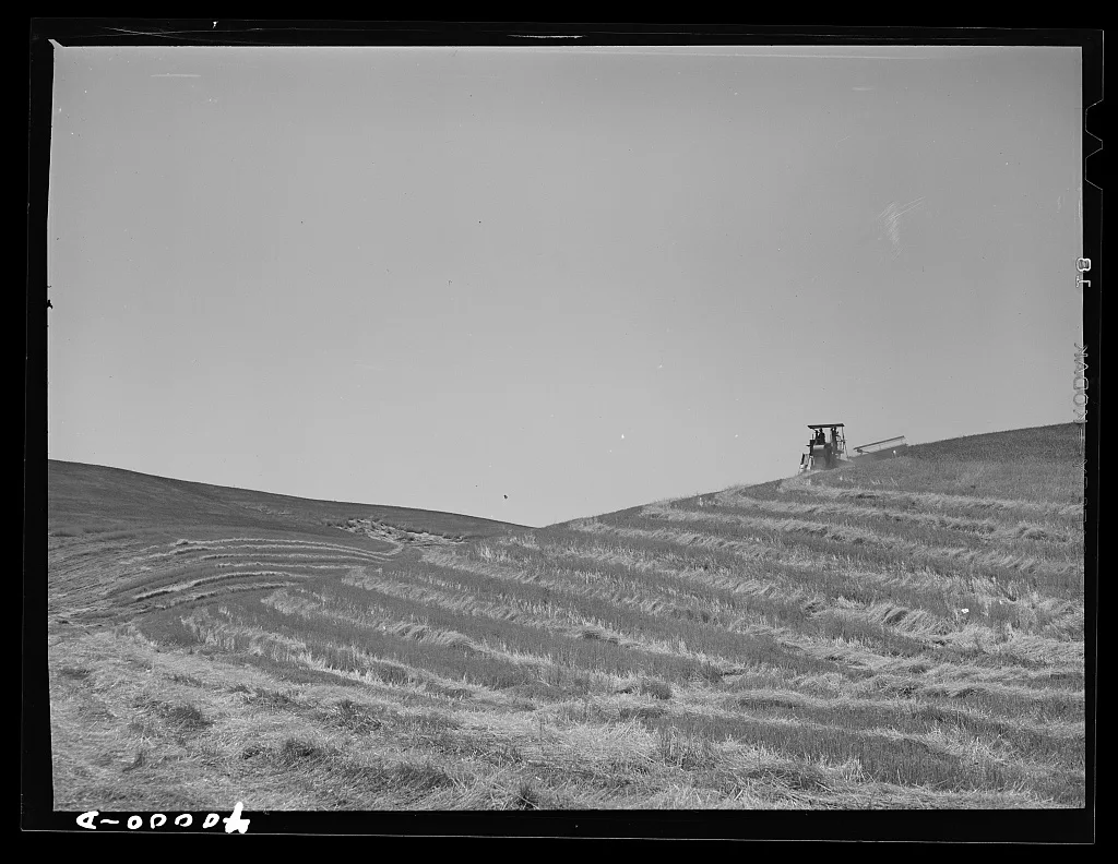 Tractor-drawn combine in wheat. Whitman County, Washington. In most…, 1941