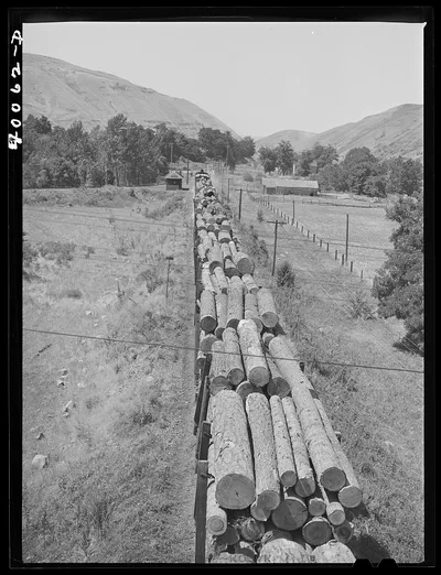 Logging train. Spalding Junction, Idaho, 1941