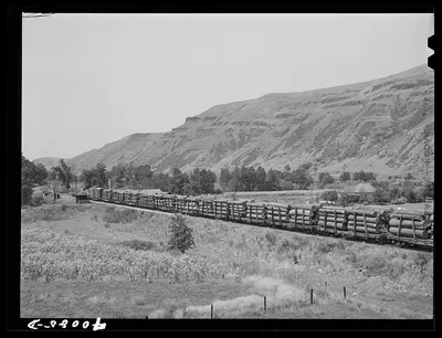 Logging train. Spalding Junction, Idaho, 1941
